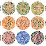 Color Vision