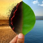 La questione climatica interessa anche Internet e il Web