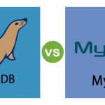 Qual è la differenza tra MariaDB e MySQL?